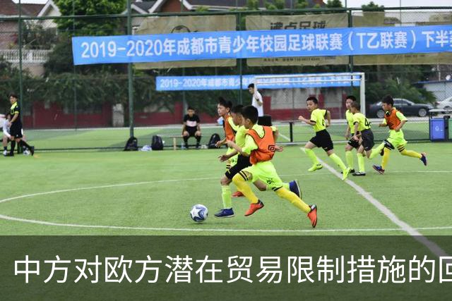 中方对欧方潜在贸易限制措施的回应分析